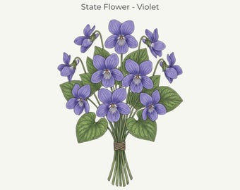 Illinois Violet State Flower Print | Fine‑Line Botanical Art | (11x14 Digital Download)
