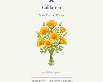 California Poppy Botanical Print • State Flower Art (11x14 Digital Download)