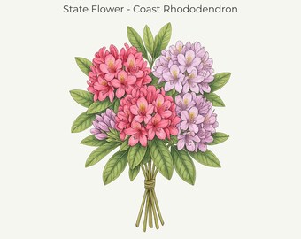 Washington Coast Rhododendron Botanical Print • Washington State Flower Art (11x14 Digital Download)