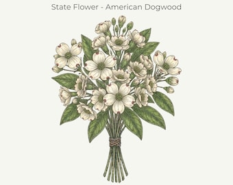 Virginia American Dogwood Print | Fine‑Line Botanical Art | 11x14 Digital Download