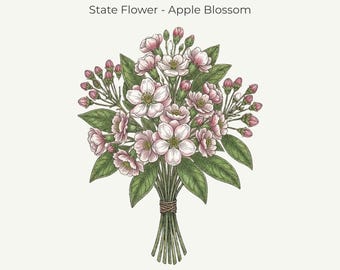 Michigan Apple Blossom Print | Fine‑Line Botanical Art | 11x14 Digital Download