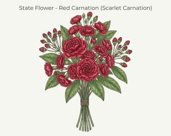 Ohio Red Carnation State Flower Print | Fine‑Line Botanical Art | 11x14 Digital Download