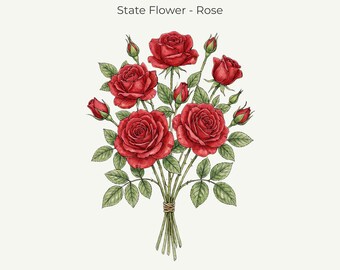 New York State Flower Rose Botanical Print • Watercolor Illustration (11x14 Digital Download)