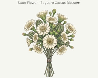 Arizona Saguaro Blossom Print | Desert Botanical Art | 11x14 Digital Download