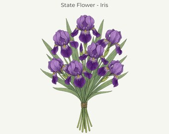 Tennessee Iris Botanical Print • Tennessee State Flower Art (11x14 Digital Download)