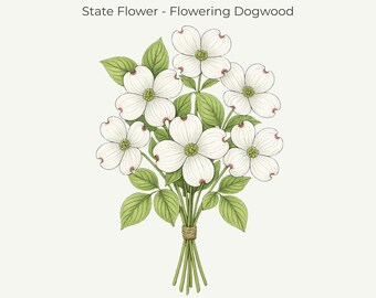 North Carolina Flowering Dogwood Botanical Print • State Flower Art (11x14 Digital Download)