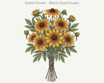 Maryland Black‑Eyed Susan Print | Fine‑Line Botanical Art | 11x14 Digital Download