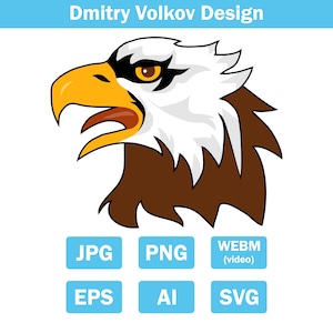 Vektorillustration av vithövdad havsörns maskot, Angry Bird-profillogotyp, sportlagsemblem, isolerad grafik. jpg/png/svg/eps/ai/webm