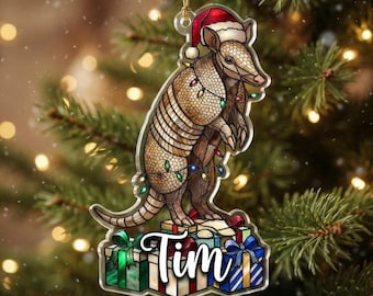 Ornement tatou en vitrail personnalisé, cadeau de Noël, décoration tatou avec nom personnalisé
