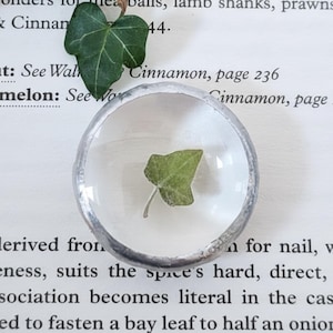 Glass Worry Stone - Pressed Ivy Glass Keepsake, Botanical Friendship Gift, Real Plant Token - Nature lover gift - Pocket hug