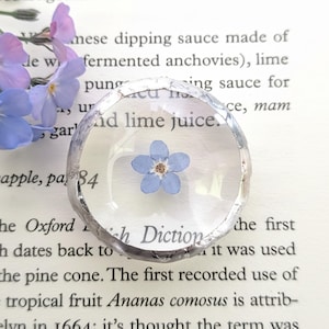 Glas Sorgenstein Erinnerungsgeschenk. Echte Vergissmeinnicht gepresste Blume Andenken für Verlust, Erinnerungsgeschenk, Naturliebhaber Geschenk, Taschenumarmung