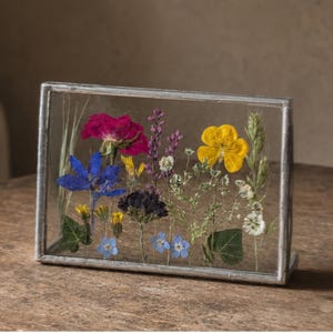 May include: A rectangular glass frame with a silver metal border containing an arrangement of pressed dried flowers. The collection includes a large magenta rose, a bright yellow flower, blue delphiniums, small forget-me-nots, and green foliage.