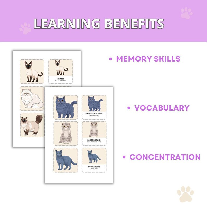 Cat Breeds Memory Game | Printable Matching Cards for Kids (PDF) - Etsy