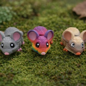 Mini Flexi-mus