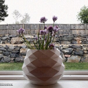 May include: A white geometric planter with a faceted, multi-sided surface holds a cluster of purple chive blossoms with thin green stems. The text @A3DPRINTEDANIMAL is printed in the bottom left corner of the image.