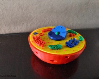 Educational ANIMAL CELL Model, Biology Science REMIX - 3D Printing - Blender Modeling - BambuLab - Limited Edition, Only Few Left.