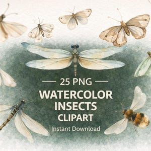 Forest Insects Clipart Bundle, Watercolor Butterfly Moth Ladybug PNG, 25 Insect Elements, Transparent Background