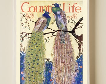 1920s Vintage PEACOCK Bird Feather Tree Garden Antique Painting Fine Art Nouveau Wall Print