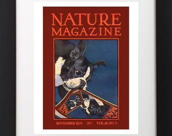 Vintage Magazine Cover Art Poster BOSTON TERRIER Dog Infinity Mirror Painting PRINT