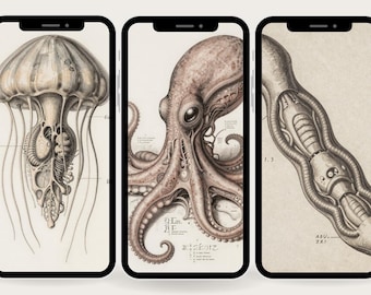 Alien Anatomy Wallpaper Pack - Vintage wissenschaftliche Illustrationen (5 Wallpapers)