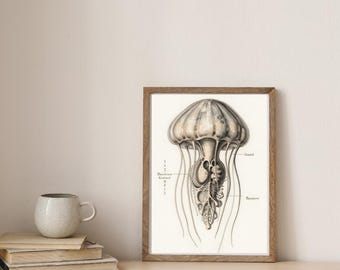 12 Alien Anatomie Teller - Wohnaccessoires Konvolut