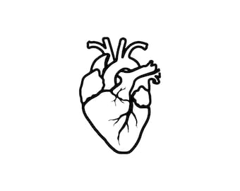 Corazón anatómico SVG, imágenes prediseñadas de arte lineal minimalista (SVG, PNG)