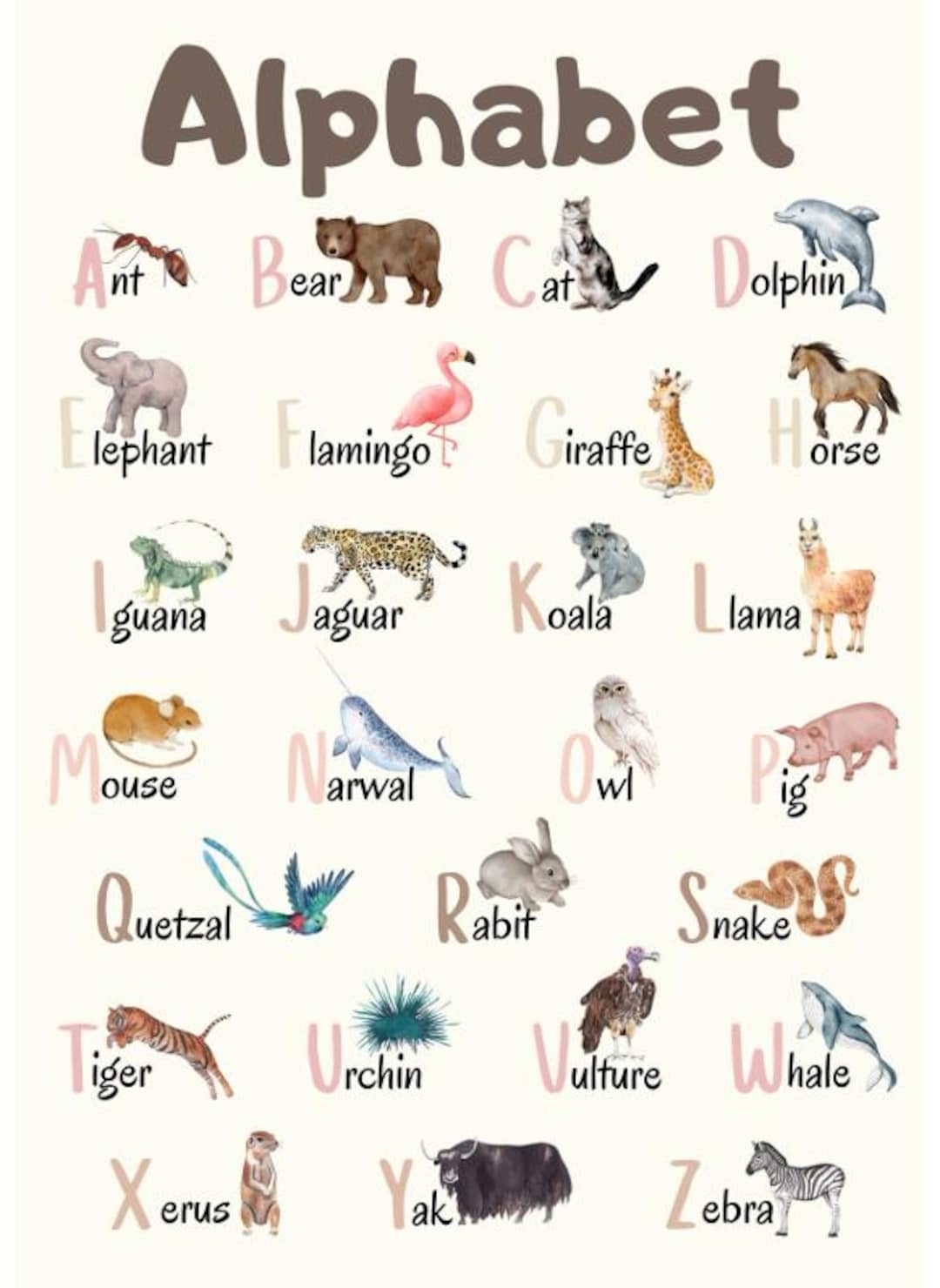 5 Plus Bundling Kids Favorite Alphabetical Animal Posters Montessori ...