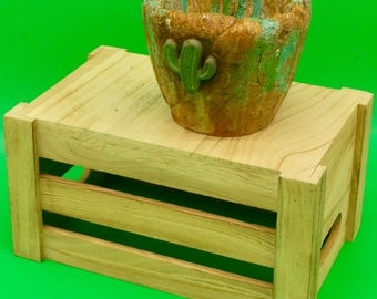 Handgemachter rustikaler Sukkulententopf mit Kaktusakzent