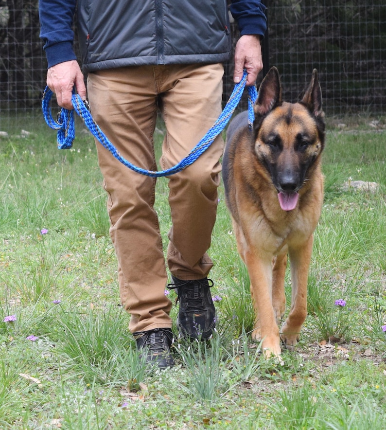 May include: A person wearing brown trousers and a dark blue jacket walks a brown and black German Shepherd dog on a blue lead.
