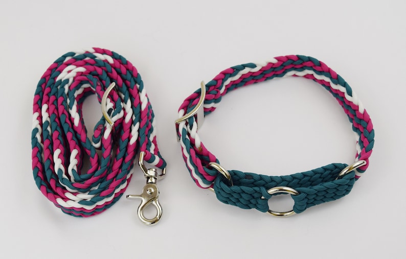 Martingale Dog Collar & Leash Set luckenbach Etsy