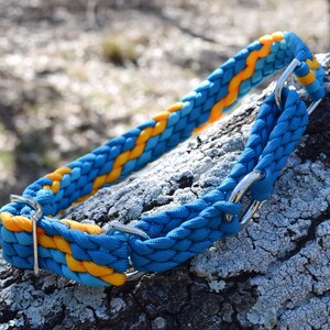 Colorful Paracord Martingale Dog Collar – 18-21” Adjustable Training Collar for Medium/Large Dogs