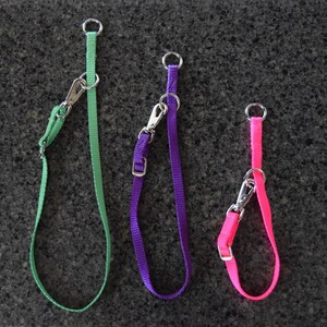 May include: Three dog leads in different colours: green, purple and pink. Each lead has a metal clip on one end and a metal ring on the other end.