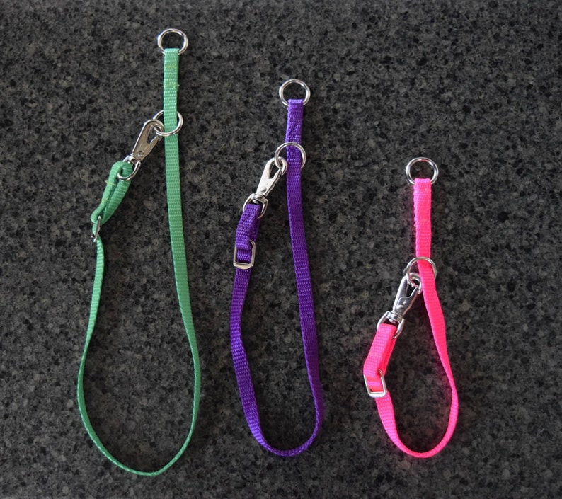 May include: Three dog leads in different colours: green, purple and pink. Each lead has a metal clip on one end and a metal ring on the other end.