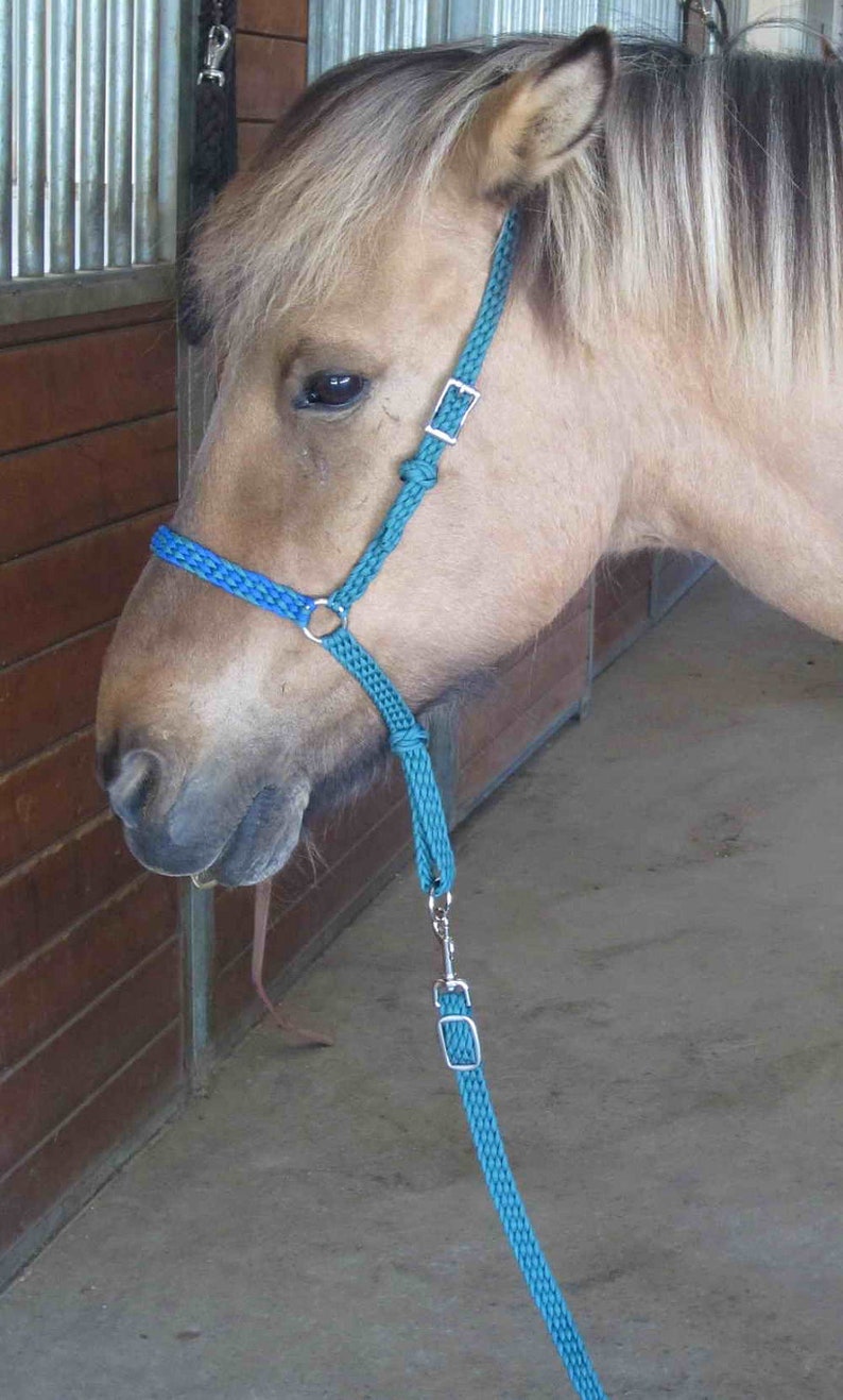 Horse Noseband With Tie Down Strap bandera Etsy