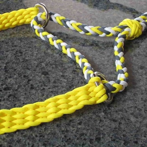 Laisse pour chien style martingale « Blanc » - Tressée - Paracorde