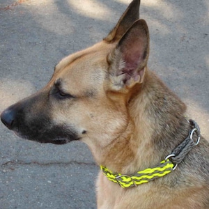Puede incluir: Un perro pastor alem&aacute;n con un collar trenzado. El collar es una combinaci&oacute;n de gris y amarillo ne&oacute;n, con anillos de metal plateado. El perro tiene un pelaje marr&oacute;n y negro y mira hacia la izquierda.
