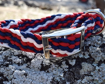 Collar with Tongue Buckle - Adjustable - Dogs, Goats, Livestock