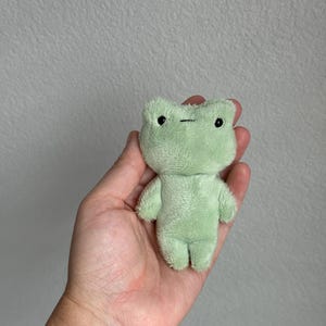 May include: A small, light green plush frog toy with black eyes. The frog is sitting in the palm of a hand.