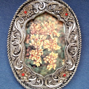 May include: An oval picture frame with a metallic silver finish featuring an ornate scrollwork border, a twisted rope outer edge, and four small red circular accents embedded within floral motifs at the top and bottom corners.