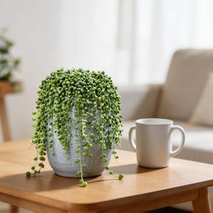 narrow plant pot Small 2-Inch Terracotta Pot with Drainage Holes for Succulent Plants, Indoors or Outdoors main image 1