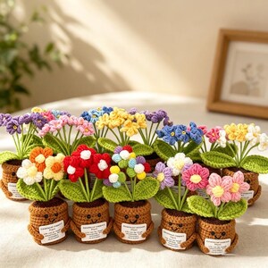 Crochet Flower Hug Pot | Multicolor Emotional Support Desk Decor