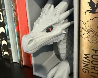 Dragon Book Nook 3D Printed
