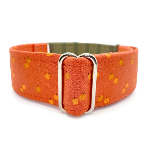 Mini Pumpkins Martingale OR Side Release Buckle Dog Collar - Multiple Widths, Orange and Sage Green Autumn Pet Collar