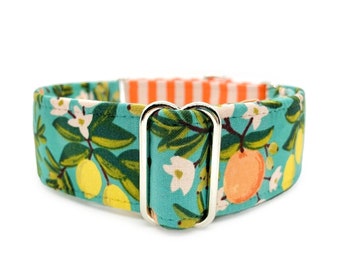 Citrus Martingale Dog Collar or Quick Release Buckle Collar - Teal, Orange, Yellow Summer Floral Fruit & Soft Peach Stripe Custom Pet Collar