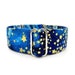 see more listings in the Eclectic Dog Collars section