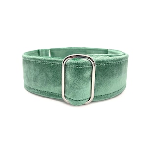Sea Glass Samt Wrapped Martingale ODER Schnellverschluss Schnalle Hundehalsband - Weiches, Light Dusty Teal Grün Luxus Haustierhalsband für empfindliche Hälse