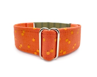 Mini Pumpkins Martingale OR Side Release Buckle Dog Collar - Multiple Widths, Orange and Sage Green Autumn Pet Collar