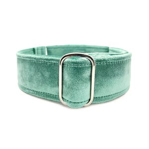 Sea Glass Velvet Wrapped Martingale OR Quick Release Buckle Dog Collar: Soft, Light Dusty Teal Green Luxury Pet Collar for Sensitive Necks