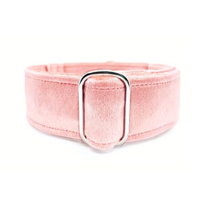 May include: A light pink velvet dog collar with a silver-colored metal buckle. The collar is wide and padded, designed for comfort. The soft, plush material is a solid color, and the buckle is rectangular.
