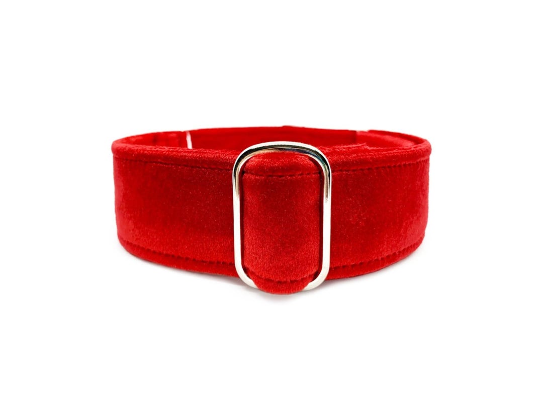 Ruby Dog Color Ruby Velvet Martingale OR Quick Release Buckle Dog Collar - Soft Bright ...